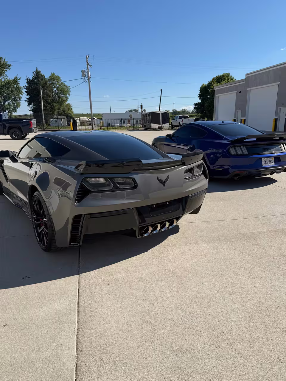 Corvette and Mustang with professionally tinted windows